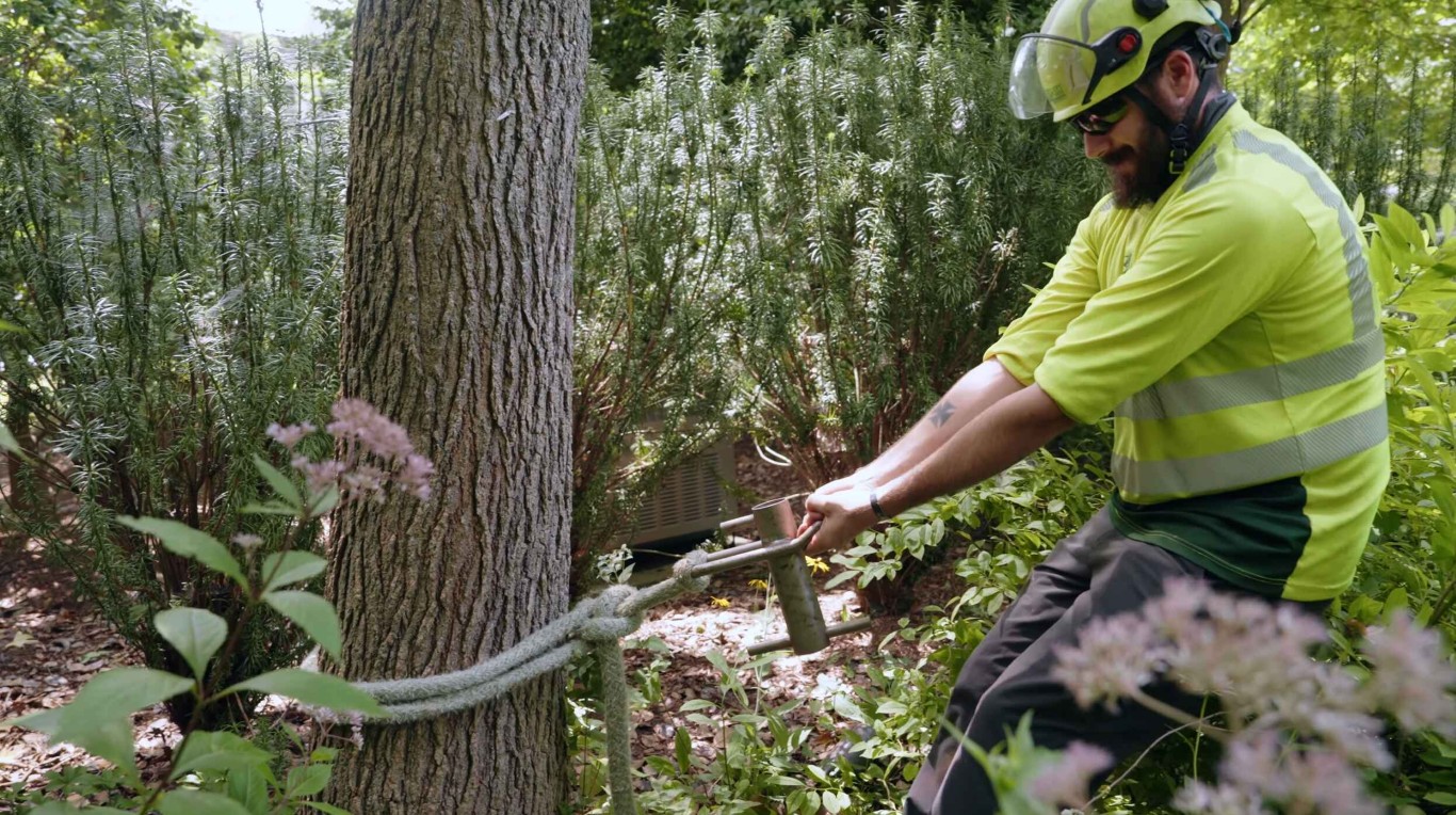 Local tree service team providing professional tree care in Salina, KS
