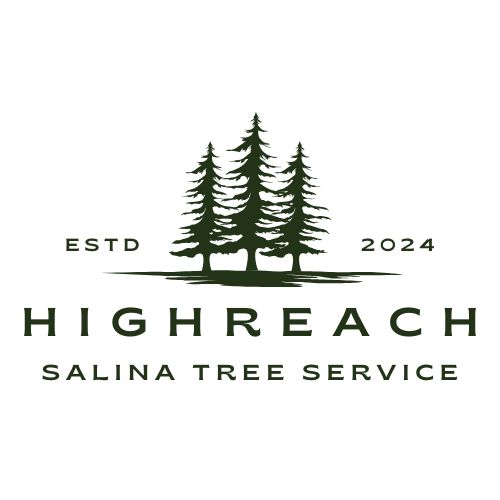HighReach Salina Tree Service logo