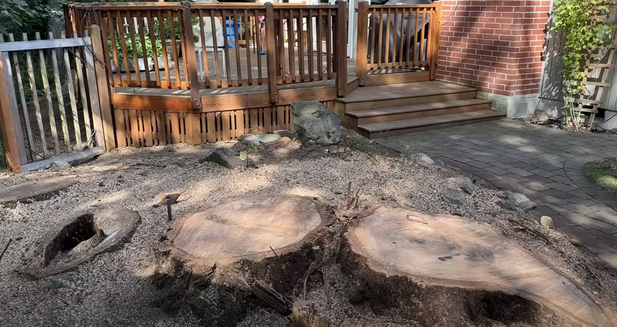 Professional stump grinding service in residential backyard in Salina, KS